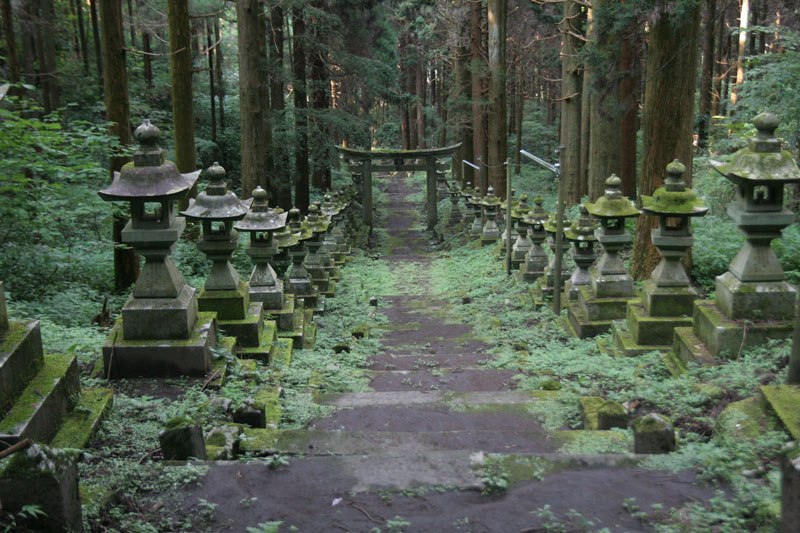 forest-shrine